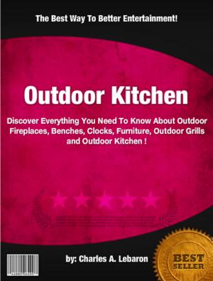 Cover of the book Outdoor Kitchen by David S. Towles