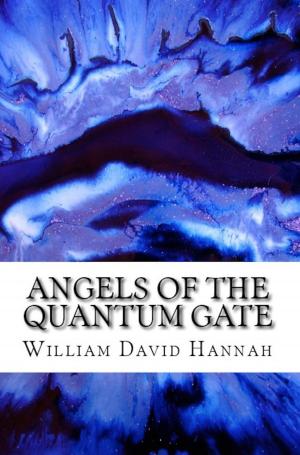 Cover of the book Angels of the Quantum Gate by J Wells, L Wells