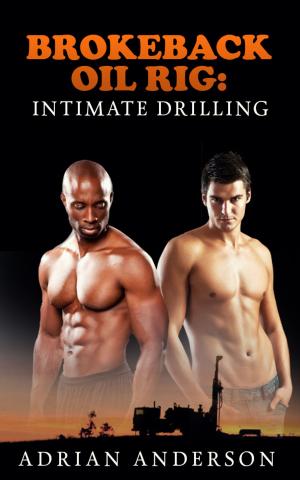 Cover of the book Brokeback Oil Rig: Intimate Drilling by Susie Frei