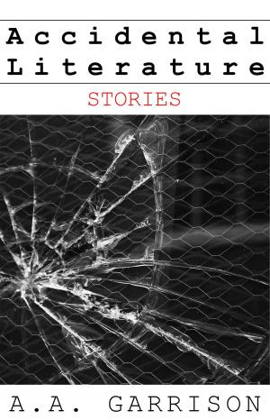 Cover of the book Accidental Literature: Stories by Derek Shupert