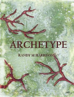 Cover of the book Archetype by David Callinan