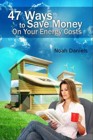 Cover of the book 47 Ways To Save Money On Your Energy Costs by Noah Daniels