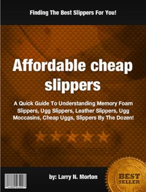 Book cover of Affordable Cheap Slippers