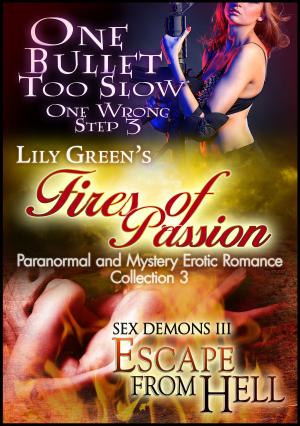 Cover of the book Fires of Passion 3: Paranormal and Mystery Erotic Romance Collection by Lily Green