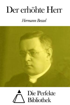 Cover of the book Der erhöhte Herr by Theodor Herzl