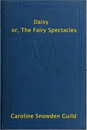 Book cover of Daisy or the Fairy Spectacles
