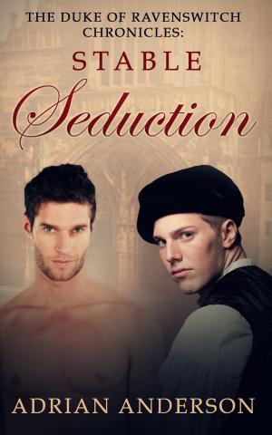 Book cover of The Duke of Ravenswitch Chronicles: Stable Seduction