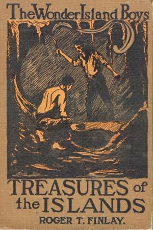 Cover of the book The Wonder Island Boys: Treasures of the Island by Martha Finley