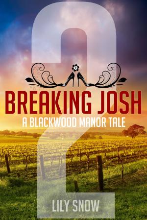 Cover of the book Breaking Josh 2 by Sandra Spice