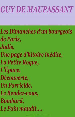 Cover of the book Les Dimanches d’un bourgeois de Paris by GASTON LEROUX, GILBERT TEROL