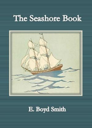 Cover of the book The Seashore Book by Norman Angell