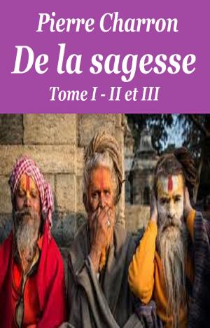 Cover of the book De la sagesse by ERNEST CHOUINARD