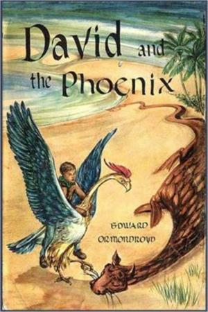 Cover of the book David and the Phoenix by Edith Nesbitt