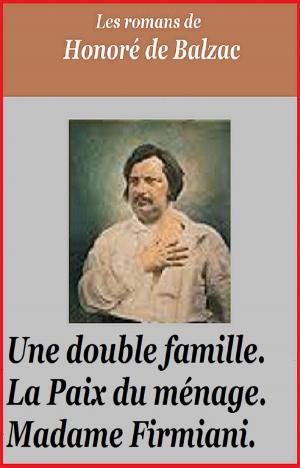 Cover of the book UNE DOUBLE FAMILLE by CAMILLE LEMONNIER