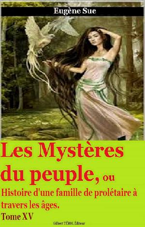 Cover of the book Les Mystères du peuple Tome XV by Hugues Rebell