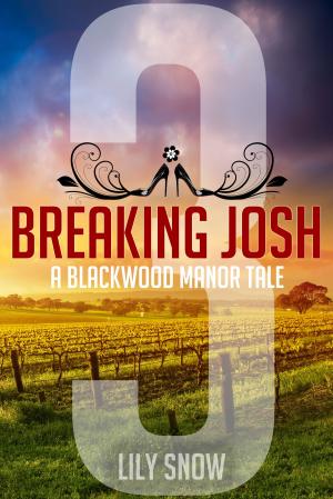 Book cover of Breaking Josh 3