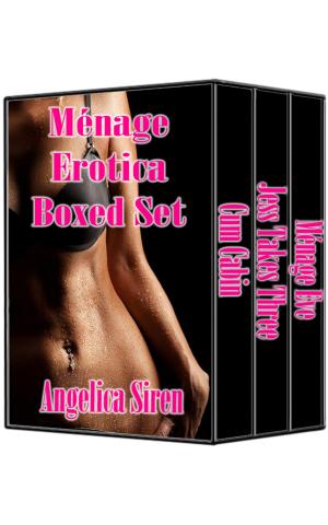 Book cover of Ménage Erotica Boxed Set