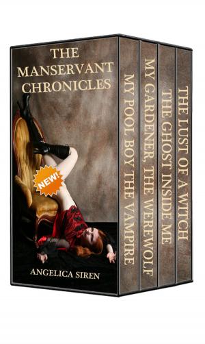 bigCover of the book The Manservant Chronicles by 