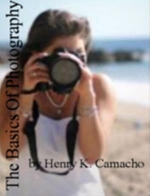 Book cover of The Basics Of Photography