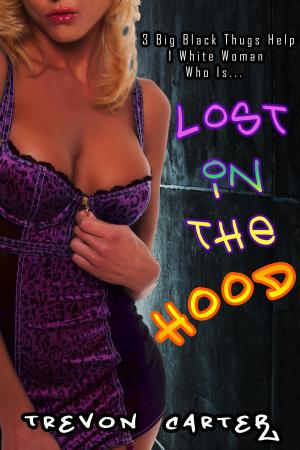 Cover of the book Lost in the Hood by Annie Burrows