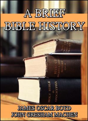 Cover of A Brief Bible History : A Survey of the Old and New Testaments