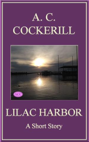 bigCover of the book Lilac Harbor (A Short Story) by 