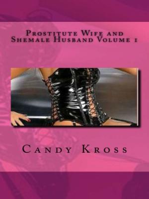 Cover of the book Prostitute Wife and Shemale Husband Volume 1 by Virginie Louvois