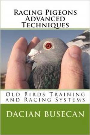 Book cover of Racing Pigeons Advanced Techniques - Old Birds Training and Racing Systems
