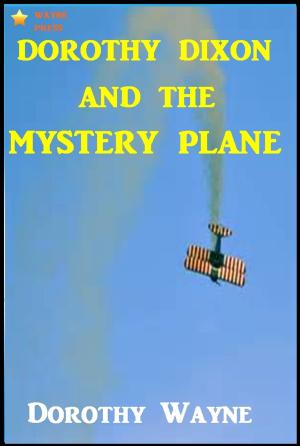 Cover of the book Dorothy Dixon and the Mystery Plane by Homer Greene