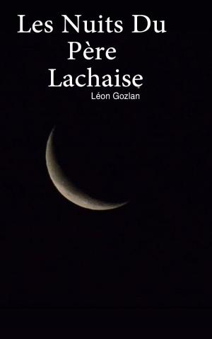 Cover of the book les nuits du pere lachaise by Robert Hirzer