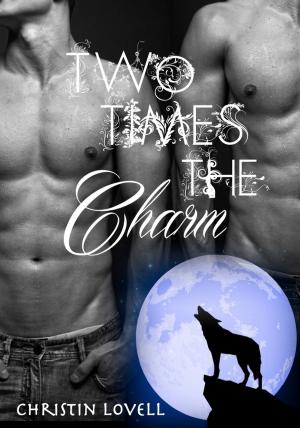 Cover of the book Two Times the Charm by Christin Lovell