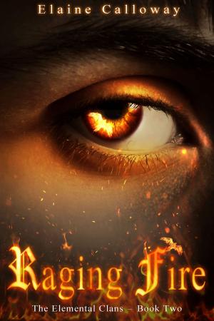 Book cover of Raging Fire