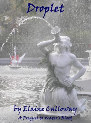 Cover of the book Droplet by Flash Fiction Online LLC