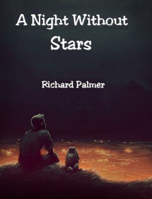 bigCover of the book A Night Without Stars by 
