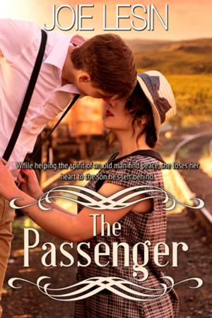 Cover of the book The Passenger by Suzanne Woods Fisher