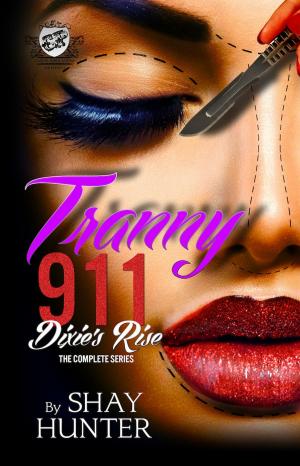 Cover of the book Tranny 911: Dixie's Rise by T. Styles