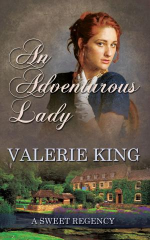 Cover of An Adventurous Lady
