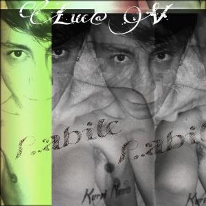 Cover of Labile