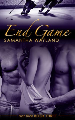 Cover of the book End Game by S.F. Riley