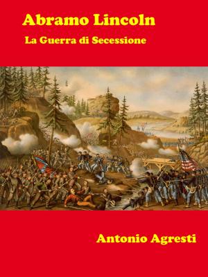 Cover of Abramo Lincoln - La Guerra di Secessione