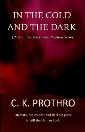 Cover of the book In the Cold and the Dark by Sheila Jecks