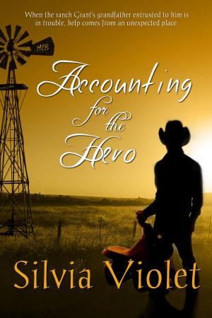 Cover of the book Accounting for the Hero by Toni Griffin