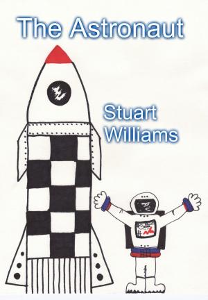 Book cover of The Astronaut