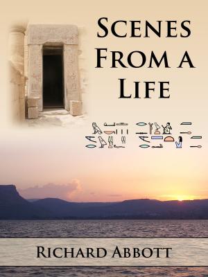 Cover of the book Scenes from a Life - Sample by Scott Toney