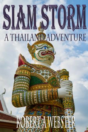 Book cover of Siam Storm - A Thailand Adventure