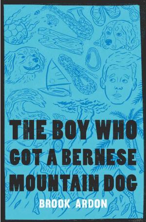 Book cover of The Boy Who Got A Bernese Mountain Dog