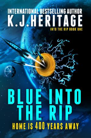 Cover of the book Blue Into The Rip by Anne Callahan