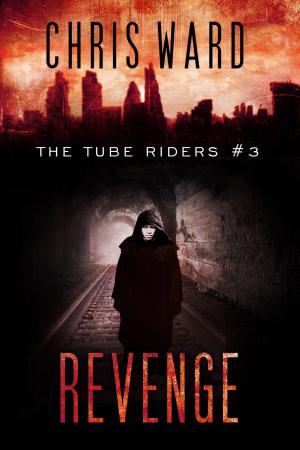 Cover of the book Revenge by Michael S. Hunter