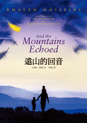 Book cover of 遠山的回音