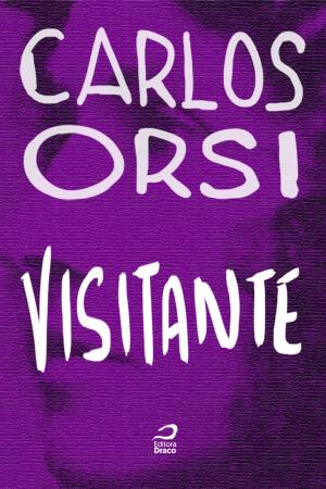 Cover of the book Visitante by Luiz Felipe Vasques